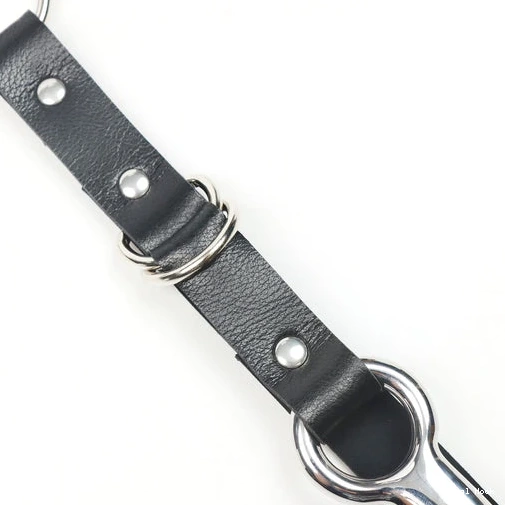 Anal Collar Leash Kinky and Hook with 5853 EverydayUse 0629